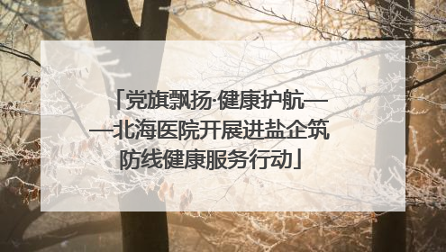党旗飘扬·健康护航——北海医院开展进盐企筑防线健康服务行动