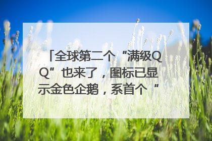 全球第二个“满级QQ”也来了，图标已显示金色企鹅，系首个“满级QQ”的小号