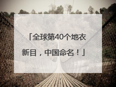全球第40个地衣新目，中国命名！