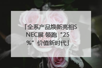 全系产品焕新亮相SNEC展 领跑“25%”价值新时代