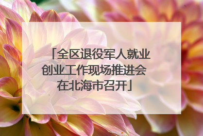 全区退役军人就业创业工作现场推进会在北海市召开