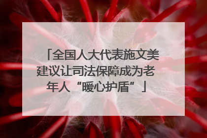 全国人大代表施文美建议让司法保障成为老年人“暖心护盾”