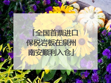全国首票进口保税岩板在泉州南安顺利入仓