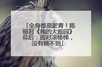 全身都是淤青！陈丽君《我的大观园》幕后：面对滚楼梯，没有做不到