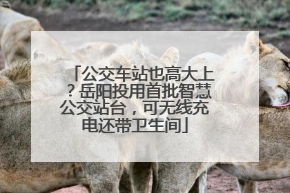 公交车站也高大上？岳阳投用首批智慧公交站台，可无线充电还带卫生间