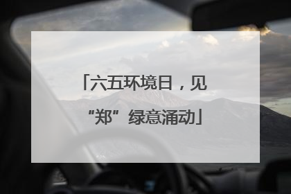 六五环境日，见“郑”绿意涌动