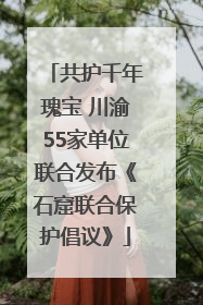 共护千年瑰宝 川渝55家单位联合发布《石窟联合保护倡议》