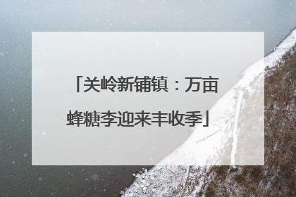 关岭新铺镇：万亩蜂糖李迎来丰收季