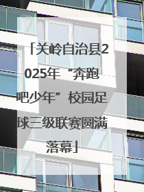 关岭自治县2025年“奔跑吧少年”校园足球三级联赛圆满落幕