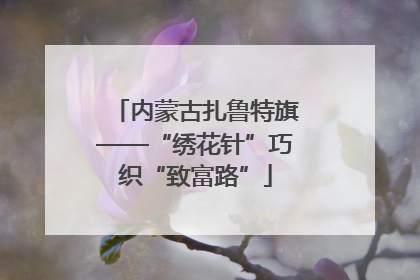 内蒙古扎鲁特旗——“绣花针”巧织“致富路”