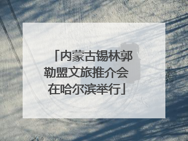 内蒙古锡林郭勒盟文旅推介会在哈尔滨举行
