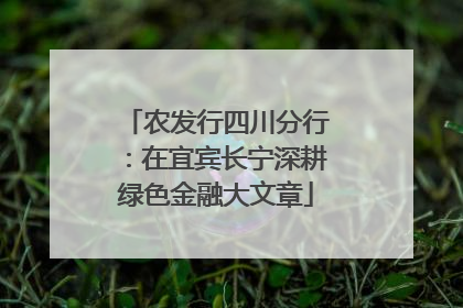 农发行四川分行：在宜宾长宁深耕绿色金融大文章