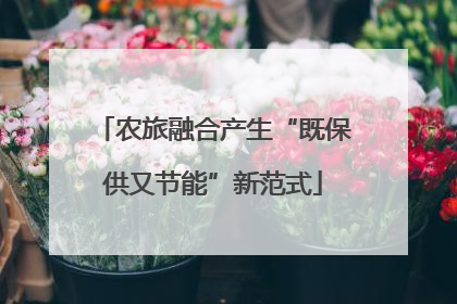 农旅融合产生“既保供又节能”新范式