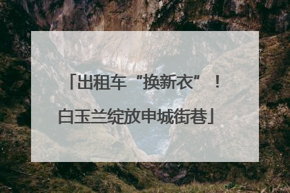 出租车“换新衣”！白玉兰绽放申城街巷