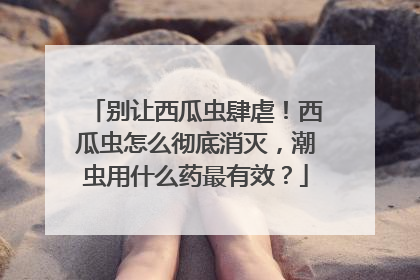 别让西瓜虫肆虐！西瓜虫怎么彻底消灭，潮虫用什么药最有效？
