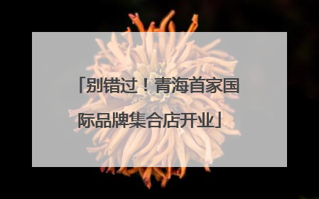 别错过！青海首家国际品牌集合店开业