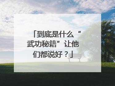 到底是什么“武功秘籍”让他们都说好？
