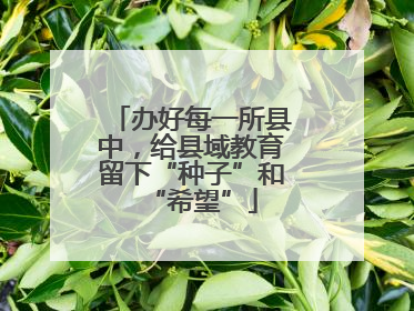 办好每一所县中，给县域教育留下“种子”和“希望”