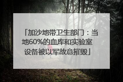 加沙地带卫生部门：当地60%的血库和实验室设备被以军故意摧毁