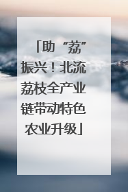 助“荔”振兴！北流荔枝全产业链带动特色农业升级
