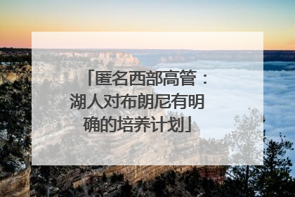 匿名西部高管：湖人对布朗尼有明确的培养计划