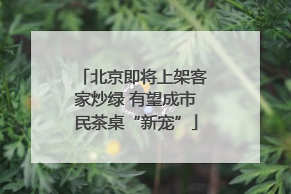 北京即将上架客家炒绿 有望成市民茶桌“新宠”