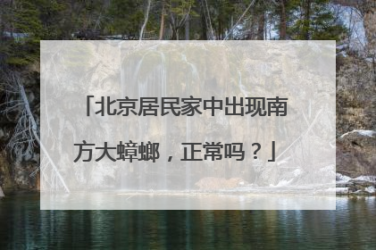 北京居民家中出现南方大蟑螂，正常吗？
