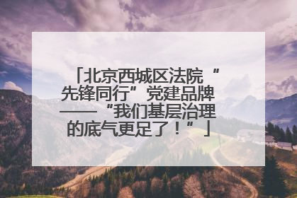 北京西城区法院“先锋同行”党建品牌——“我们基层治理的底气更足了！”