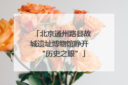 北京通州路县故城遗址博物馆睁开“历史之眼”