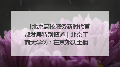 北京高校服务新时代首都发展特别报道｜北京工商大学②：在京郊沃土播撒科技创新的种子