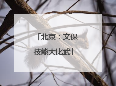 北京：文保技能大比武