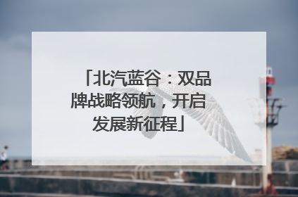 北汽蓝谷：双品牌战略领航，开启发展新征程