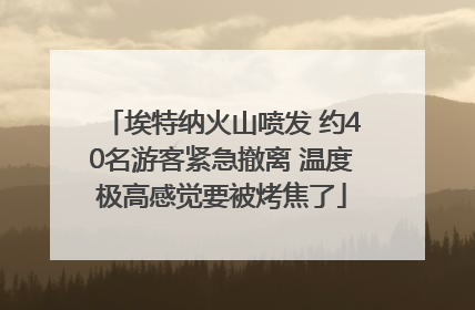 埃特纳火山喷发 约40名游客紧急撤离 温度极高感觉要被烤焦了