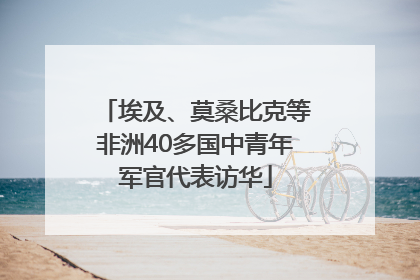 埃及、莫桑比克等非洲40多国中青年军官代表访华