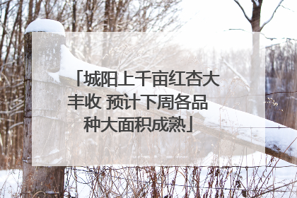 城阳上千亩红杏大丰收 预计下周各品种大面积成熟