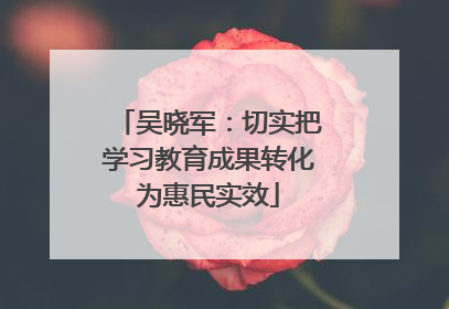 吴晓军：切实把学习教育成果转化为惠民实效