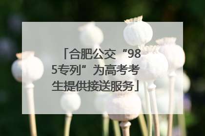 合肥公交“985专列”为高考考生提供接送服务