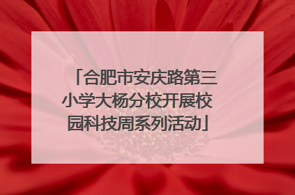 合肥市安庆路第三小学大杨分校开展校园科技周系列活动