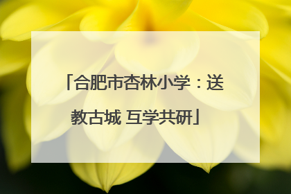 合肥市杏林小学：送教古城 互学共研