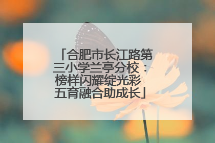合肥市长江路第三小学兰亭分校：榜样闪耀绽光彩 五育融合助成长