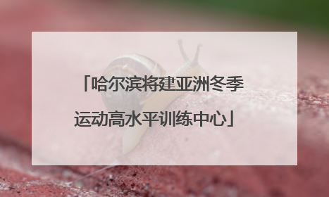 哈尔滨将建亚洲冬季运动高水平训练中心