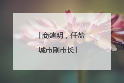 商建明，任盐城市副市长