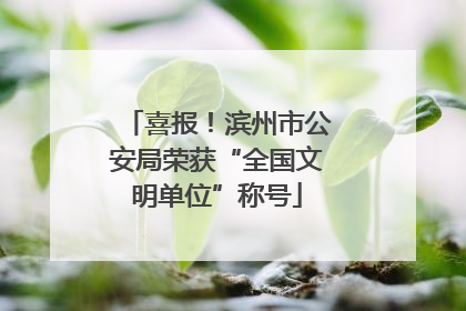 喜报！滨州市公安局荣获“全国文明单位”称号