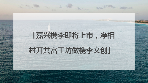 嘉兴槜李即将上市，净相村开共富工坊做槜李文创