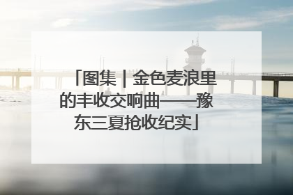 图集｜金色麦浪里的丰收交响曲——豫东三夏抢收纪实