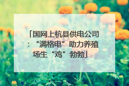 国网上杭县供电公司：“满格电”助力养殖场生“鸡”勃勃