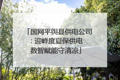 国网平舆县供电公司：迎峰度夏保供电  数智赋能守清凉