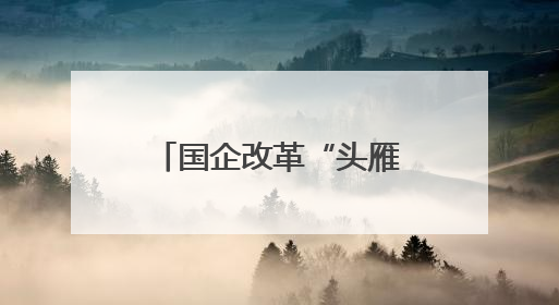 国企改革“头雁领航”③｜从负重前行到轻装上阵 重庆以“瘦身”谋“健体”