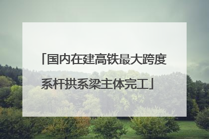 国内在建高铁最大跨度系杆拱系梁主体完工