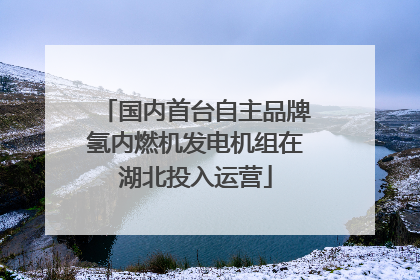 国内首台自主品牌氢内燃机发电机组在湖北投入运营